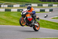 cadwell-no-limits-trackday;cadwell-park;cadwell-park-photographs;cadwell-trackday-photographs;enduro-digital-images;event-digital-images;eventdigitalimages;no-limits-trackdays;peter-wileman-photography;racing-digital-images;trackday-digital-images;trackday-photos